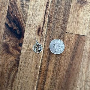 Silver Aquarius charm.